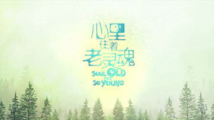 心里住着老灵魂 kép