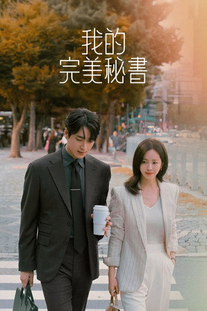 나의 완벽한 비서 poszter