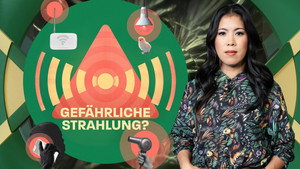 MaiThink X – Die Show 9. évad Ep.2 2. epizód