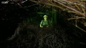 Andy's Wild Adventures 2. évad Ep.14 14. epizód