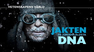 Vetenskapens värld 50. évad Ep.13 13. epizód