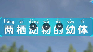 斑马百科 29. évad Ep.2 2. epizód
