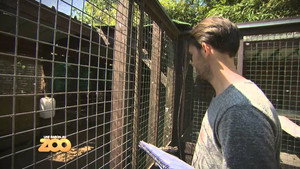 Une saison au zoo 4. évad Ep.2 2. epizód