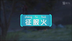 斑马百科 23. évad Ep.4 4. epizód