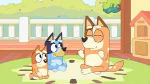 Bluey Speciális epizódok Ep.14 14. epizód
