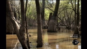Survivorman 1. évad Ep.4 4. epizód