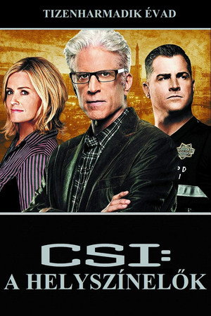 CSI: A helyszínelők 13. évad (2012-09-26) poszter