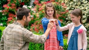 Chesapeake Shores – A szerelem partján 2. évad Ep.3 3. epizód