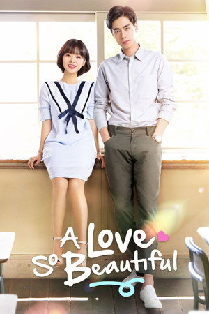 A Love So Beautiful poszter