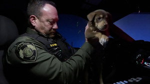 On Patrol: Live 4. évad Ep.45 45. epizód