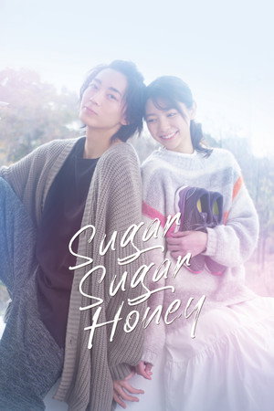 Sugar Sugar Honey poszter