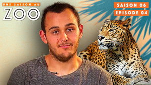 Une saison au zoo 6. évad Ep.4 4. epizód
