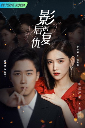 影后的复仇 poszter
