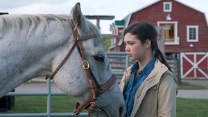 Heartland 9. évad Ep.12 12. epizód