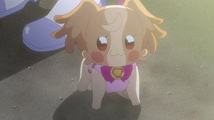 わんだふるぷりきゅあ！ 1. évad Ep.47 47. epizód