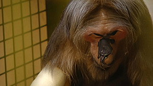 Monkey Business 6. évad Ep.9 9. epizód