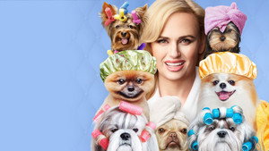Pooch Perfect kép