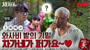 차가네 1. évad Ep.5 5. epizód