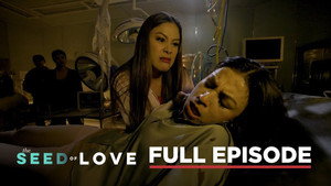 The Seed of Love 1. évad Ep.78 78. epizód