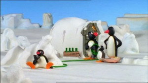Pingu 6. évad Ep.2 Pingu és a locsolócső