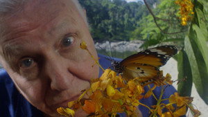 David Attenborough's Conquest of the Skies 3D kép