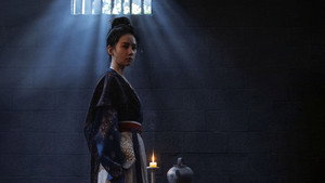 掌心 kép