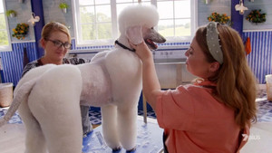 Pooch Perfect 1. évad Ep.4 4. epizód