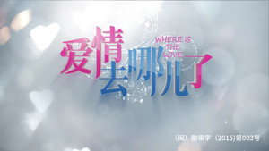 爱情去哪儿了 kép