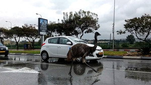 Caught on Dashcam 3. évad Ep.6 6. epizód