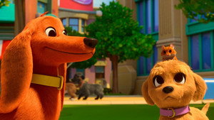 Pretzel and the Puppies 2. évad Ep.6 Szőrmókkeresők / Vakkancslelő