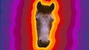 Father Ted 2. évad Ep.5 5. epizód