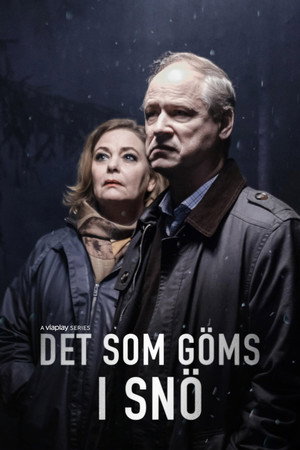 Det som göms i snö