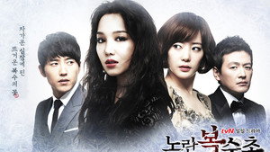 노란 복수초 kép
