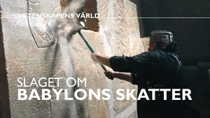 Vetenskapens värld 48. évad Ep.3 3. epizód