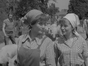 Die Lindstedts 1. évad Ep.5 5. epizód