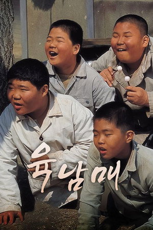 육남매 1. évad (1998-02-04) poszter