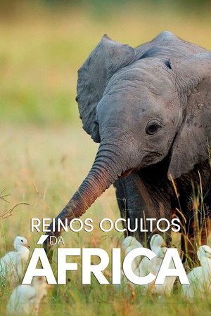Afrika rejtett királyságai poszter