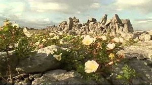 Natural World 22. évad Ep.16 16. epizód