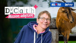 Dr Cath : Mission adoption kép