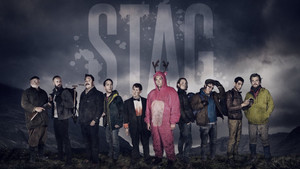 Stag kép