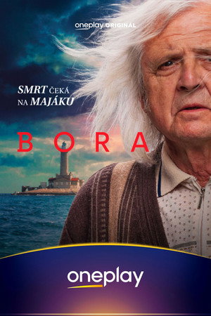 Bora poszter