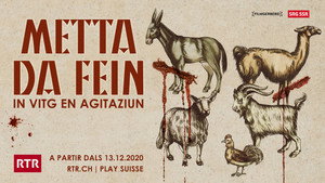 Metta da fein kép