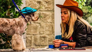 Pooch Perfect 1. évad Ep.5 5. epizód