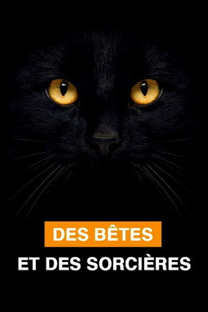 Des bêtes et des sorcières poszter