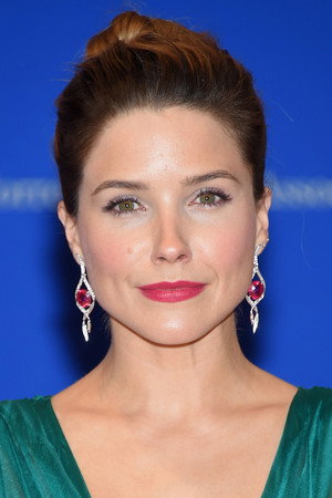 Sophia Bush profil kép