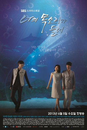 너의 목소리가 들려 1. évad (2013-06-05) poszter
