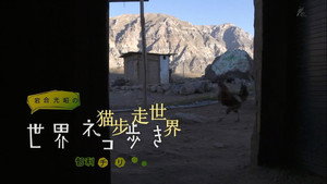 岩合光昭の世界ネコ歩き 1. évad Ep.18 18. epizód