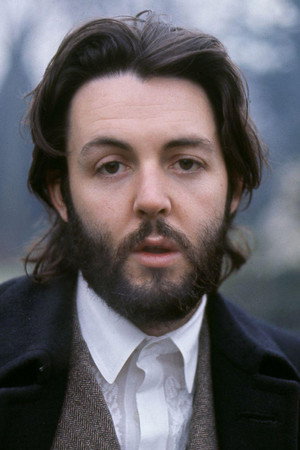 Paul McCartney profil kép