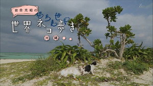 岩合光昭の世界ネコ歩き 1. évad Ep.16 16. epizód