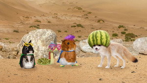 Wonder Pets: In the City 2. évad Ep.7 Mentsd meg a sivatagi rókát!/Mentsd meg az óriásteknőst!